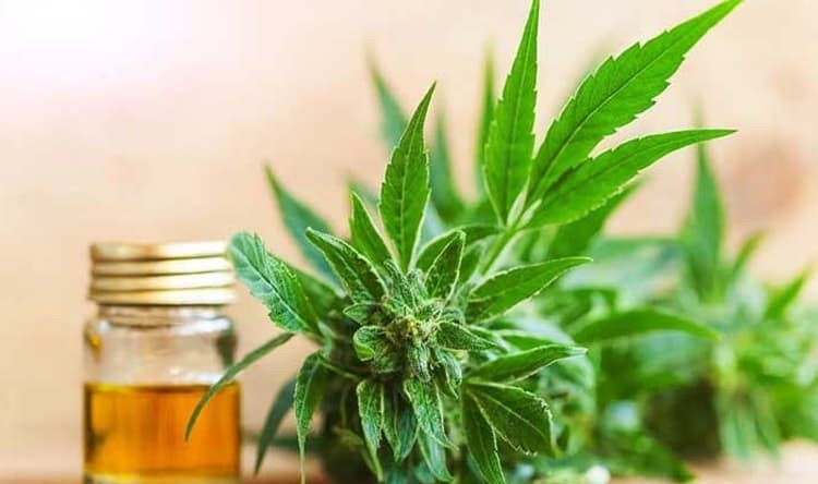 بهترین روغن برای ماساژ سیاتیک 